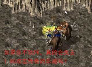 如果你不玩PK,真的会失去1.80攻击传奇的乐趣吗? 如果你不玩PK,真的会失去1.80攻击传奇的乐趣吗?