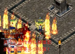 ������Ѫ����˽����ְҵ������Ҫ����Ԥ�㣿