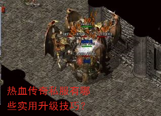 热血传奇私服有哪些实用升级技巧? 热血传奇私服有哪些实用升级技巧?