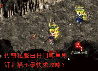 传奇私服白日门哪里刷钉耙猫王最快求攻略? 传奇私服白日门哪里刷钉耙猫王最快求攻略?
