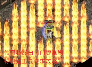 传奇私服白日门哪里刷钉耙猫王最快求攻略? 传奇私服白日门哪里刷钉耙猫王最快求攻略?
