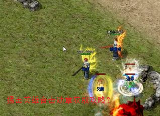 �Ͷ�Ӣ�ۺϻ�ѫ�»�ȡ���ԣ�