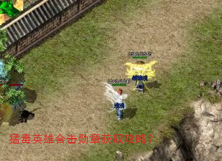�Ͷ�Ӣ�ۺϻ�ѫ�»�ȡ���ԣ�